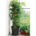 Doniczka do sadzenia pomidorów 28 L z drabinką