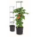 Doniczka do sadzenia pomidorów z drabinka pojemność 12 L