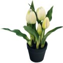 Tulipany w doniczce 5 szt białe 23 cm jak żywe gumowane
