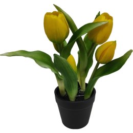 Tulipany w doniczce żółte 23 cm