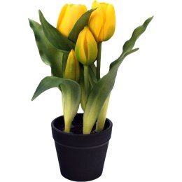 Tulipany w doniczce żółte 23 cm