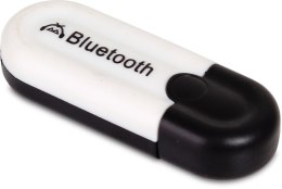 Adapter Bluetooth USB dla wzmacniaczy HQM HQM