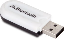 Adapter Bluetooth USB dla wzmacniaczy HQM HQM