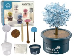 Magiczne Drzewko Hodowla Kryształów Doświadczenia Niebieskie