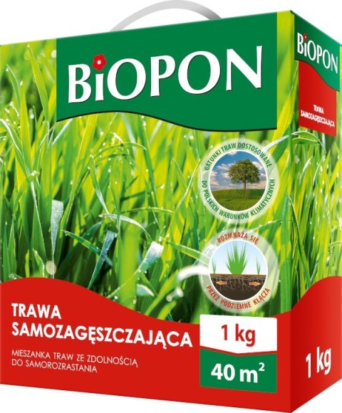 TRAWA SAMOZAGĘSZCZAJĄCA 1 KG