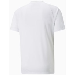 Koszulka męska Puma teamVISION Jersey biała 704921 04