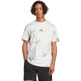 Koszulka męska adidas All Szn Wash Tee biało-szara IX1260