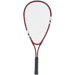 Rakieta Szybki Badminton / Squash Vizari