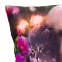 Poduszka dekoracyjna z oświetleniem LED Kot i pies - 38x38cm