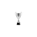Puchar Metalowy Srebrny T-D 2058B