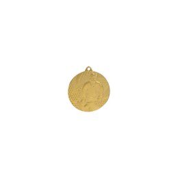 Medal Złoty- Hokej - Medal Stalowy
