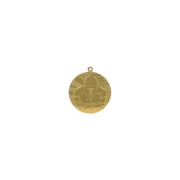 Medal Złoty- Pływanie - Medal Stalowy