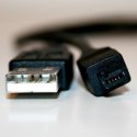 Kabel USB (1.1) USB A M- 4 pin M 0.7m czarny Logo HIROSE