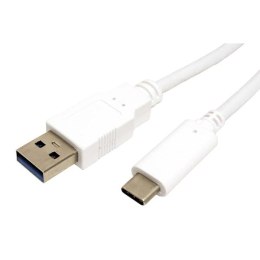 Kabel USB (3.1) USB A M- USB C M 1m okrągły biały plastic bag