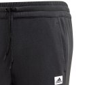 Spodnie męskie adidas Brilliant Basics czarne GD3868