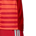 Bluza bramkarska męska adidas AdiPro 18 GK LS czerwona CY8478