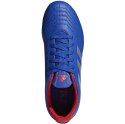 Buty piłkarskie adidas Predator 19.4 FxG JR niebieskie CM8540