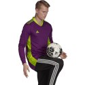 Bluza bramkarska adidas AdiPro 20 Goalkeeper Jersey Longsleeve fioletowa FI4194