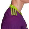 Bluza bramkarska dla dzieci adidas AdiPro 20 Goalkeeper Jersey Youth Longsleeve fioletowo-zielona FI4198