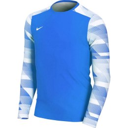 Bluza bramkarska dla dzieci Nike Dry Park IV JSY LS GK JUNIOR niebieska CJ6072 463