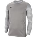 Bluza bramkarska męska Nike Dry Park IV JSY LS GK szara CJ6066 052