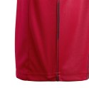 Koszulka dla dzieci adidas Striped 19 JSY JUNIOR czerwona DU4395