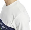 Koszulka męska Reebok Classic Linear Tee zielono-biała FT7339