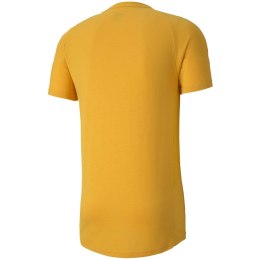 Koszulka męska Puma Evostripe Lite Tee żółta 581534 25