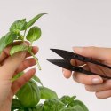 Mini nożyczki do przycinania roślin, carbon, Véritable