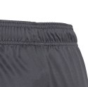 Spodenki dla dzieci adidas Tastigo 19 Shorts szare DP3255/DP3175