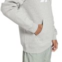 Bluza męska Reebok Identity Fleece OTH Vector Hoodie szara GR1659