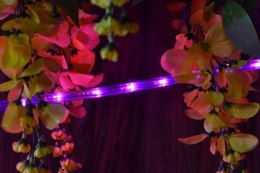 LED świetlny kabel - 240 diod, 10 m, różowy