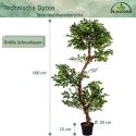 PLANTASIA Sztuczne drzewo yerlin, 160 cm
