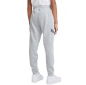 Spodnie dla dzieci Nike Nsw Elevated Trim Flc Pant szare DD8703 077