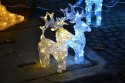 Świetlna dekoracja świąteczna Renifer - 100 cm, zimna biel