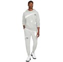 Spodnie męskie Nike Nsw Swoosh SBB Pant szare DD6001 063