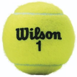 Piłki tenisowe Wilson Championship Extra kpl. 4szt