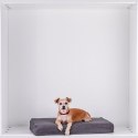 Poduszka dla psa rozmiar M, ciemnoszara, 100 x 65 x 10 cm