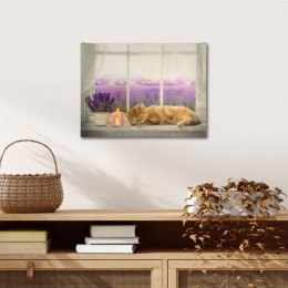 Obraz podświetlany - Fototapeta kot, 1 LED, 30 x 40 cm